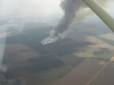 View from a plane, north of Mato Grosso - Brazil, 2007. Photo by Deborah Icamiaba.
